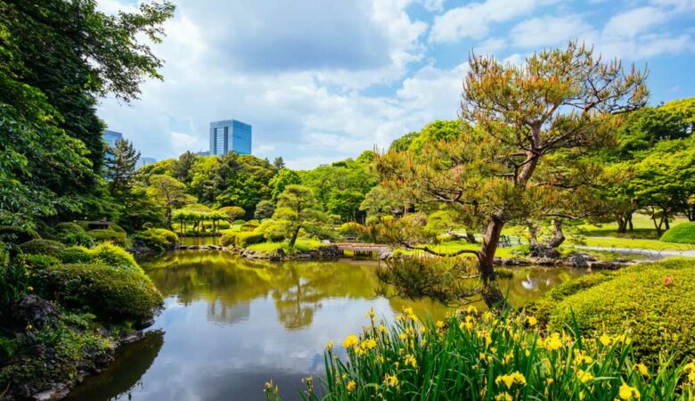 A Comprehensive Guide to Eco-Friendly Travel